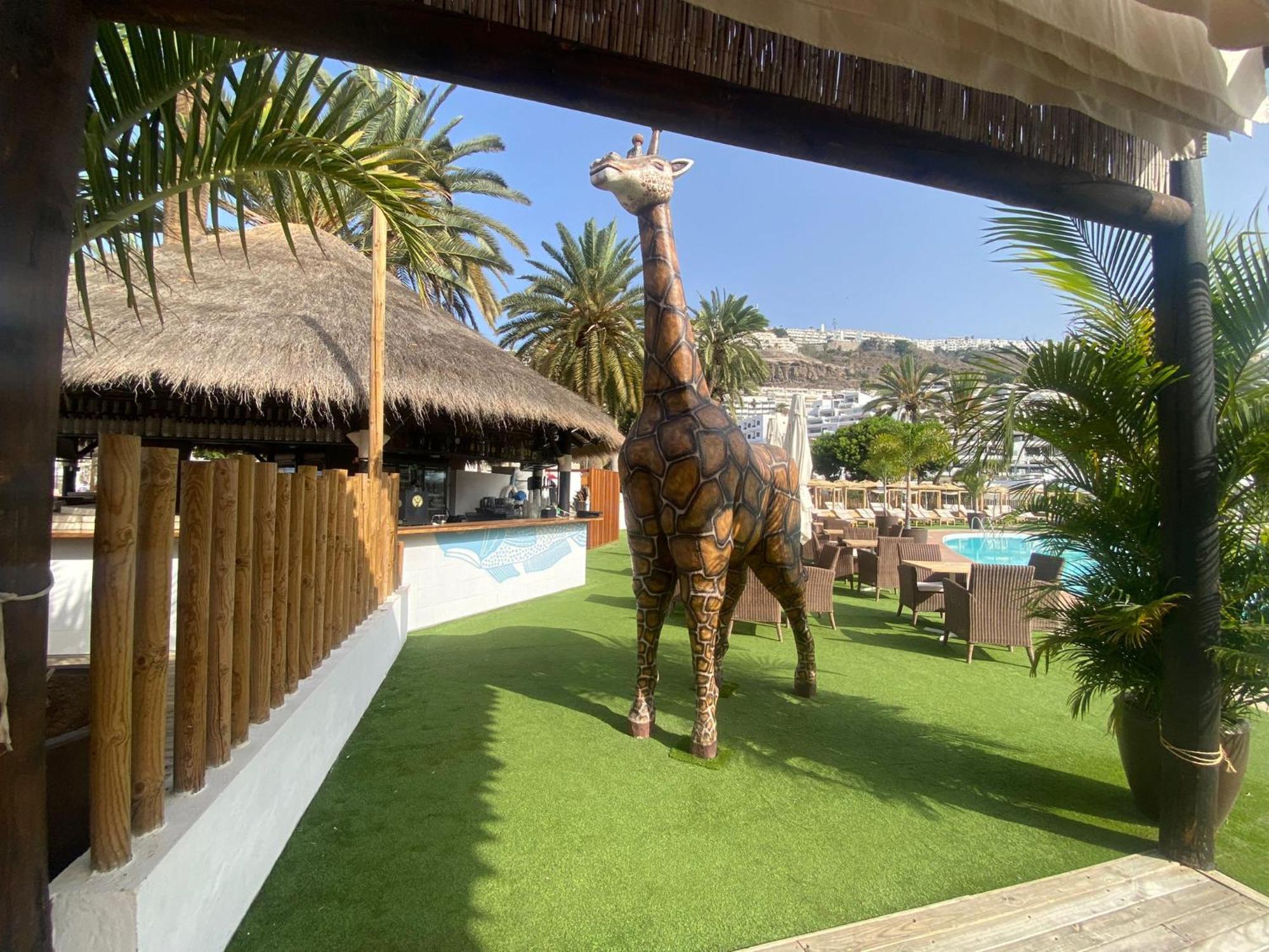 Modern Ground Floor Apartment , A Few Steps From The Beach Mogán Exteriör bild